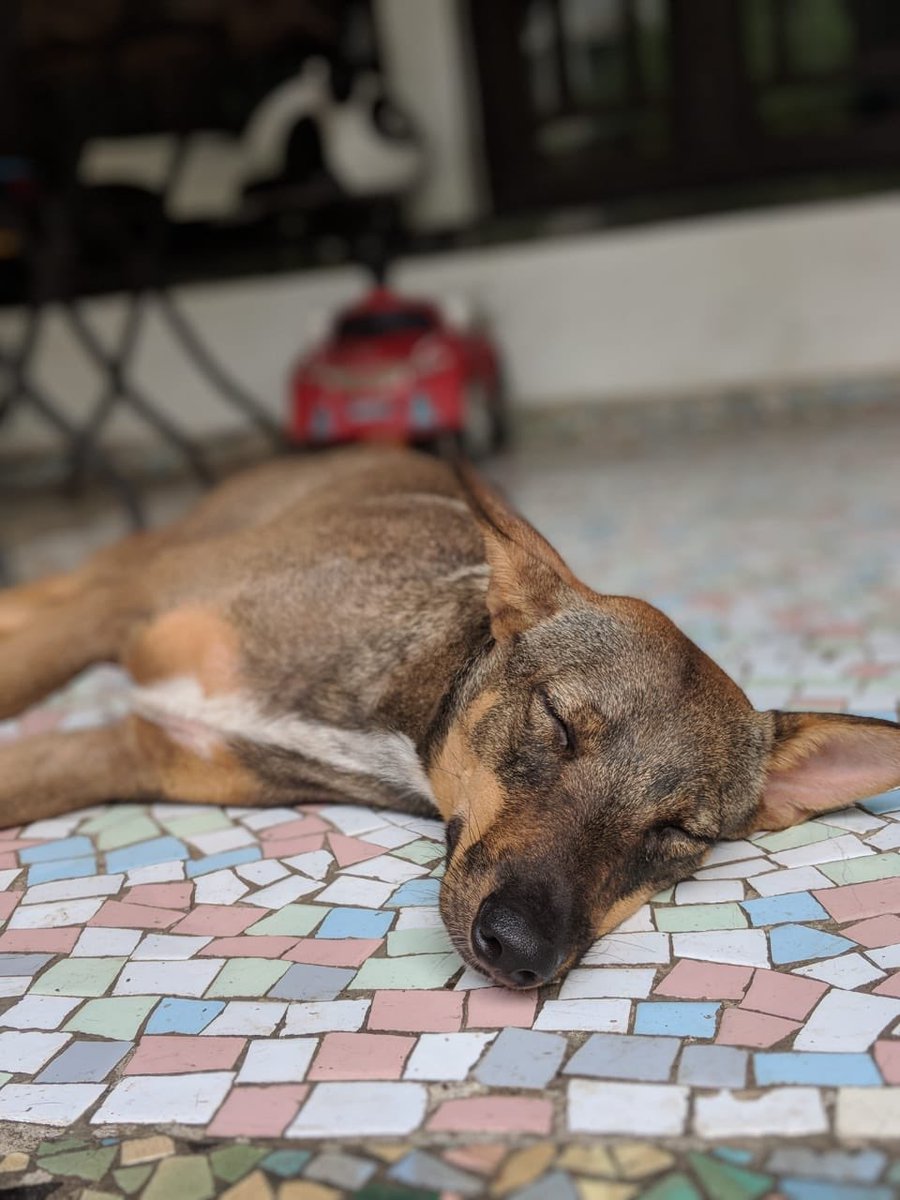 Rupa Amol Pandit tweet media