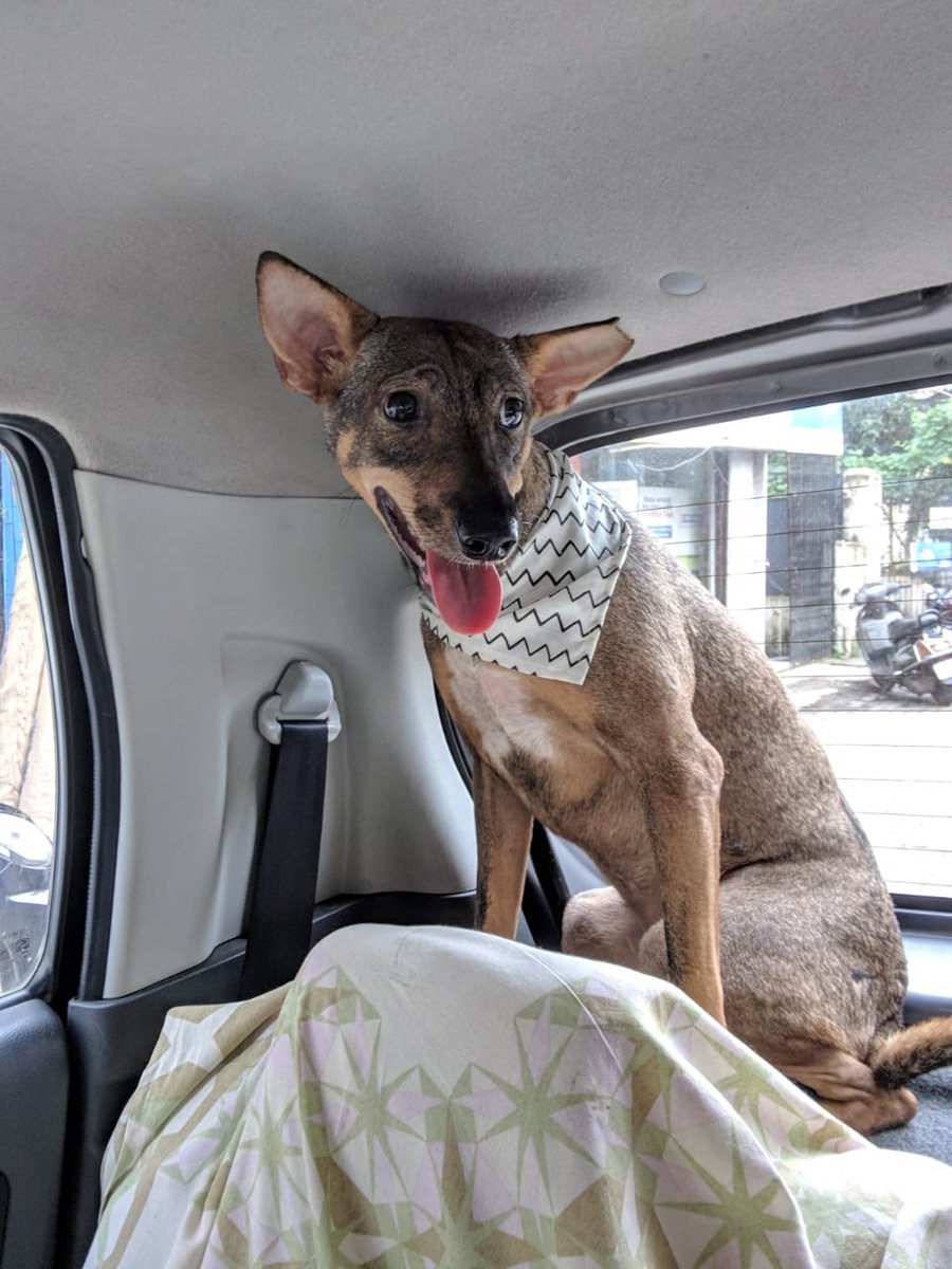 Rupa Amol Pandit tweet media