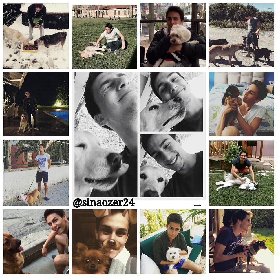 #DünyaKöpekGünü  <a href="/sinaozer/">Sina Ozer</a> 💕