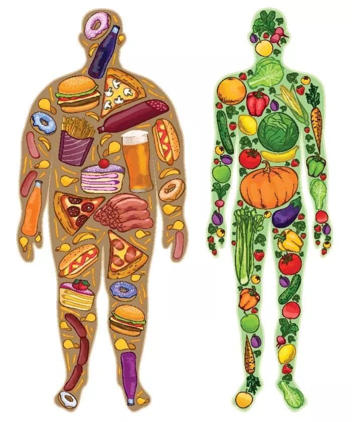 O2@sun (@naturolys) on Twitter photo 