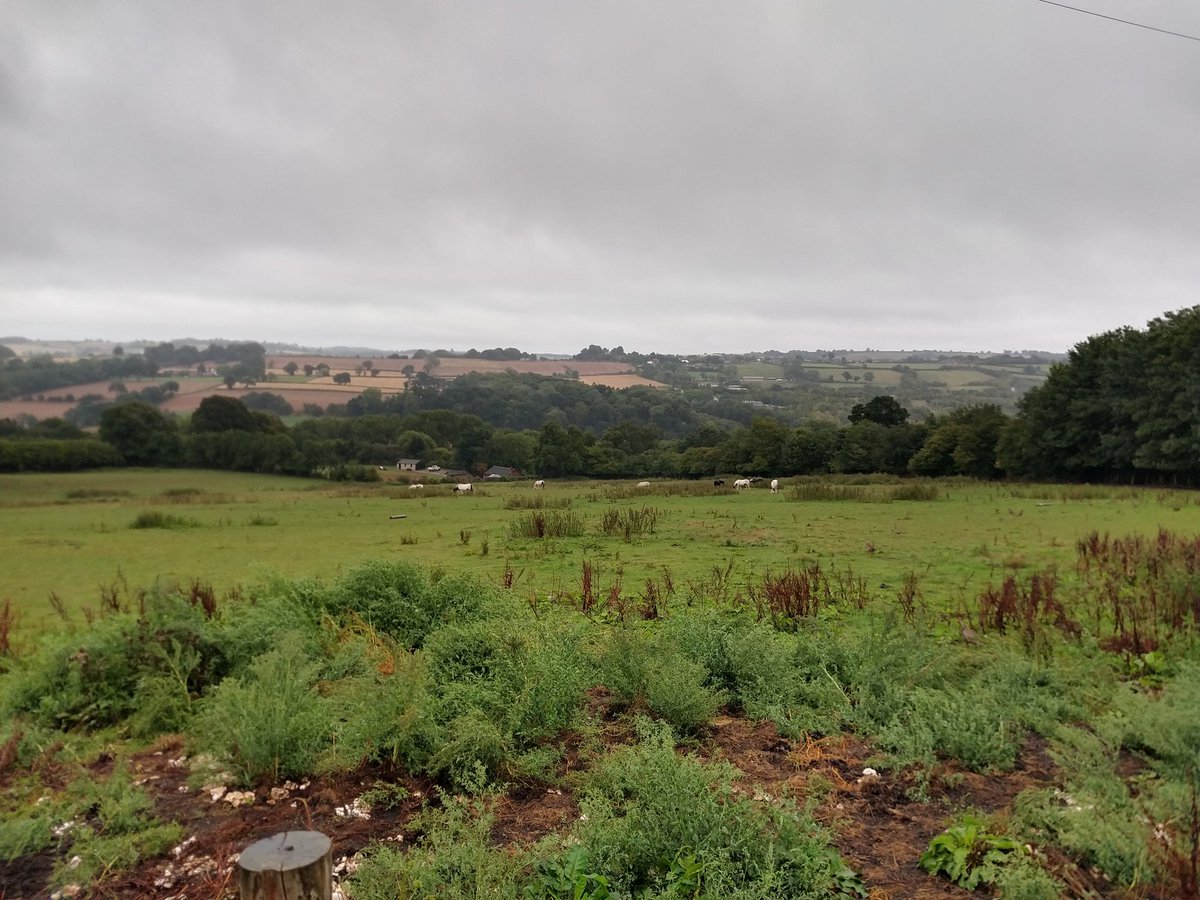 1981_rick's tweet photo. A bit of a wet day, but I managed a 6 mile hike after it stopped throwing it down :-) it's supposed to be drier tomorrow, so will attempt my originally planned walk then! https://t.co/yPmwGusabQ