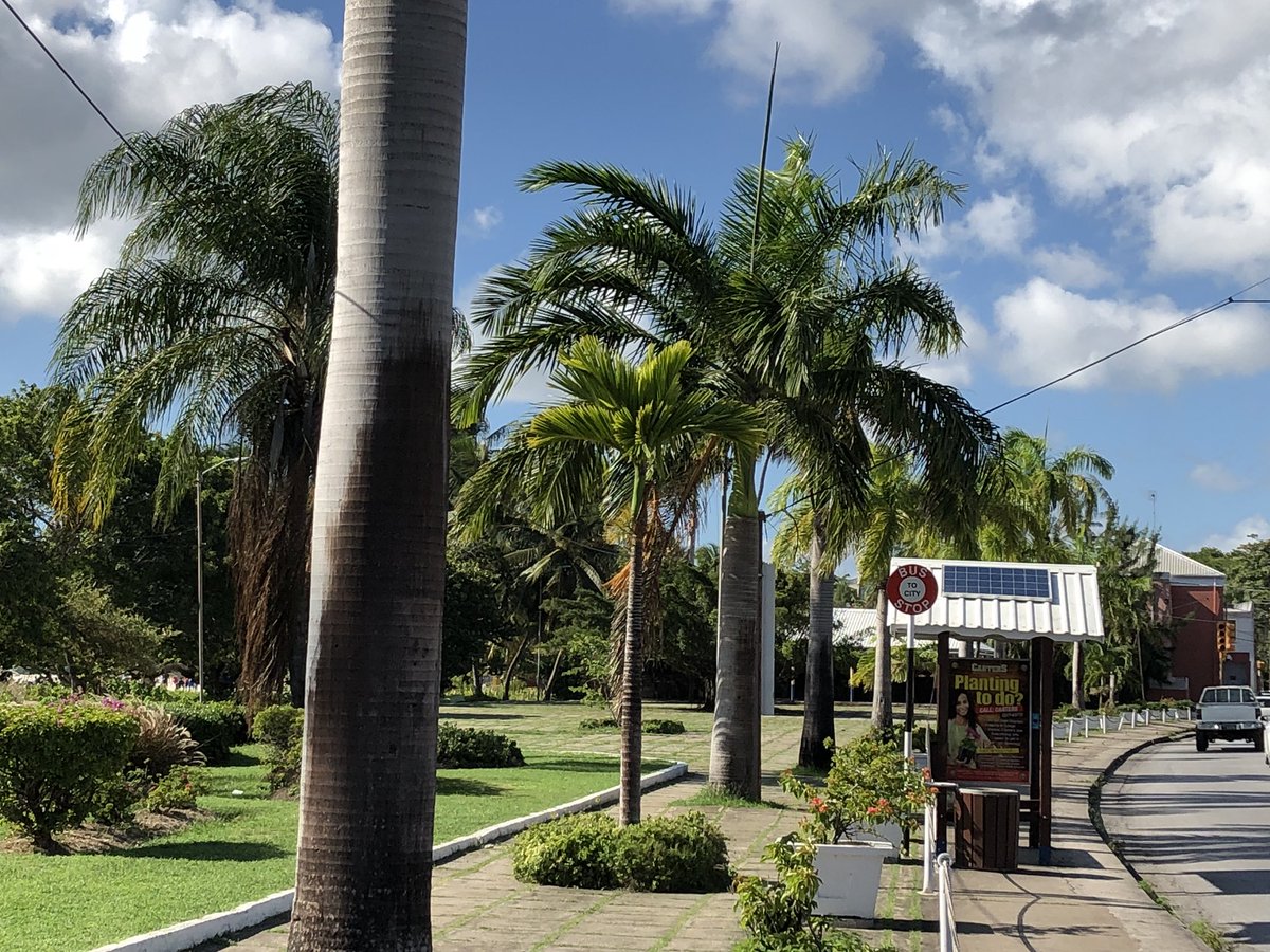 GaiaConnection5's tweet photo. In #Barbados you can find #SolarPanels everywhere. You can even charge up your phone at the bus stop. #Renewables #Energy #LeadingTheWay #climatechange #solar #cleantech #innovation https://t.co/h1tH2wmN0f
