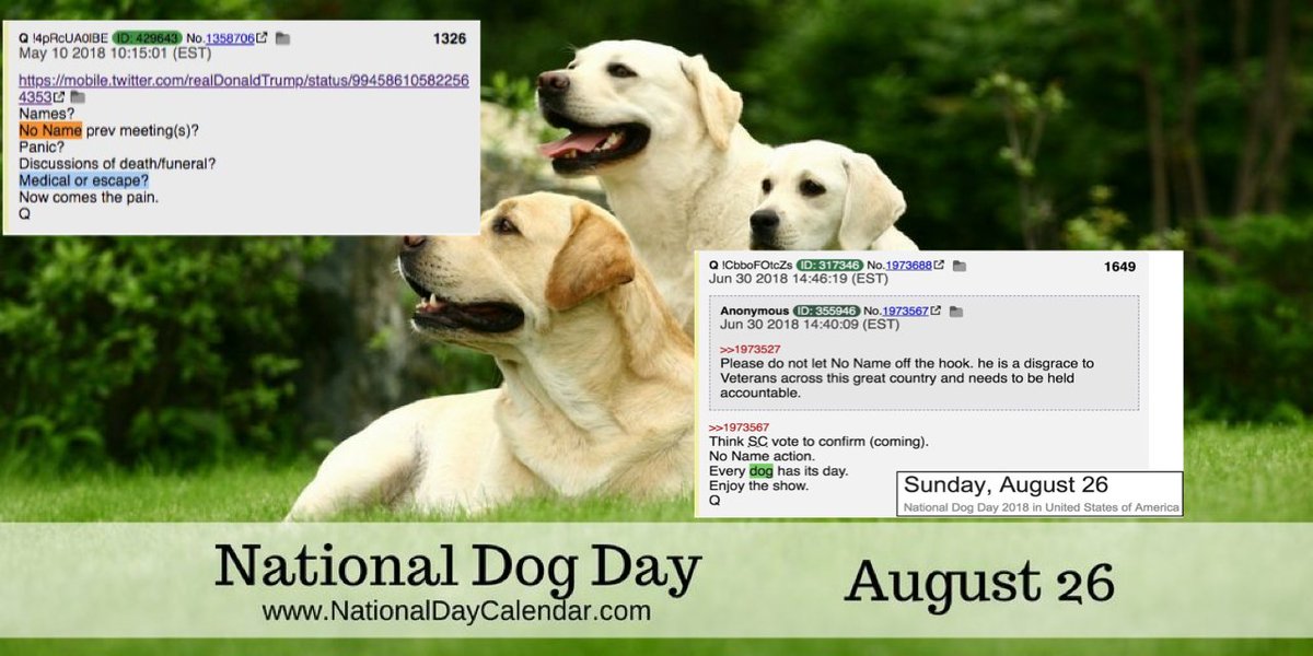every dog has a day