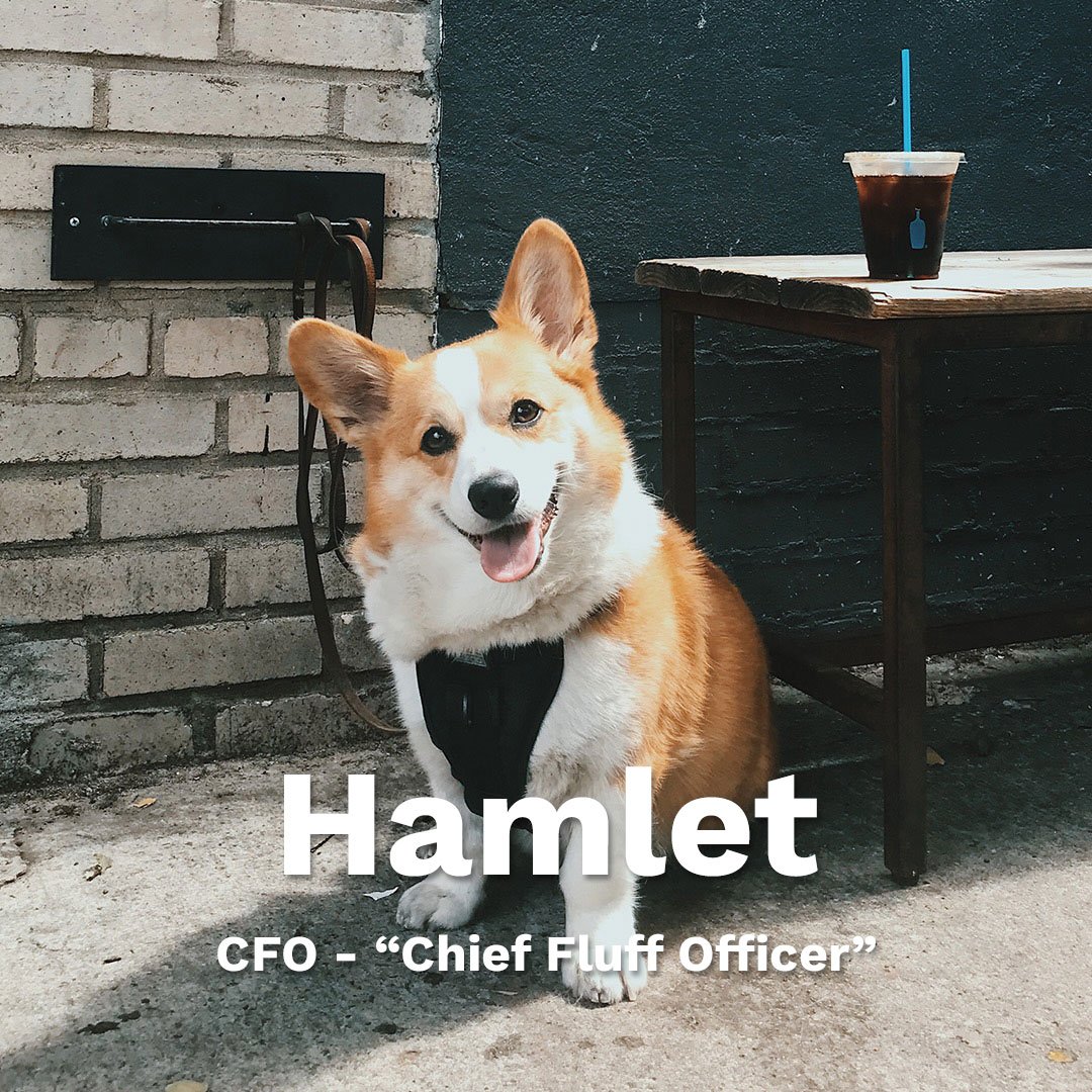 makrplace's tweet photo. We couldn't let #NationalDogDay pass without recognizing the dogs of Makr! These hard workers are getting extra belly rubs and head scritches today. https://t.co/zjJ8s3wD6i