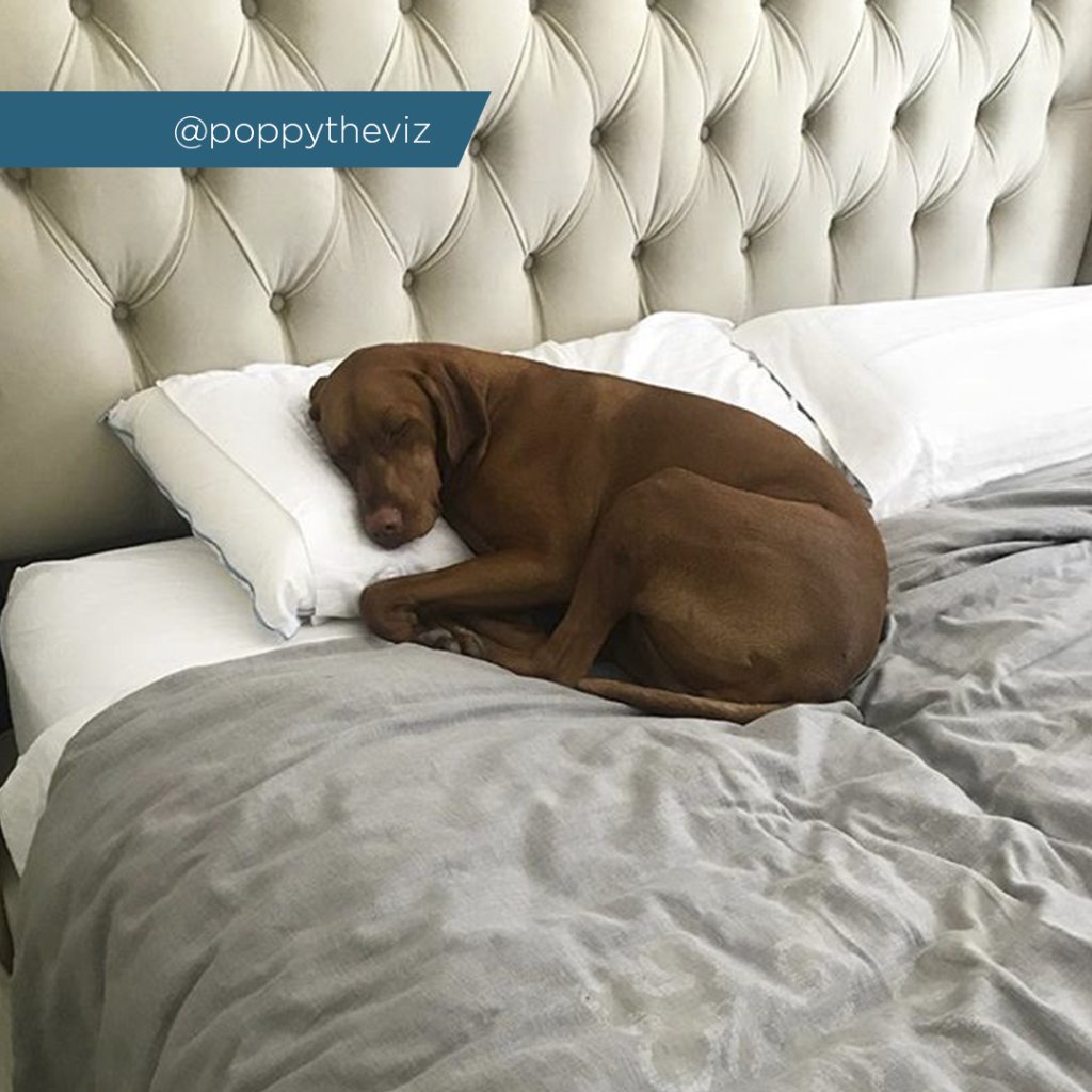 TempurPedic (TempurPedic) Twitter