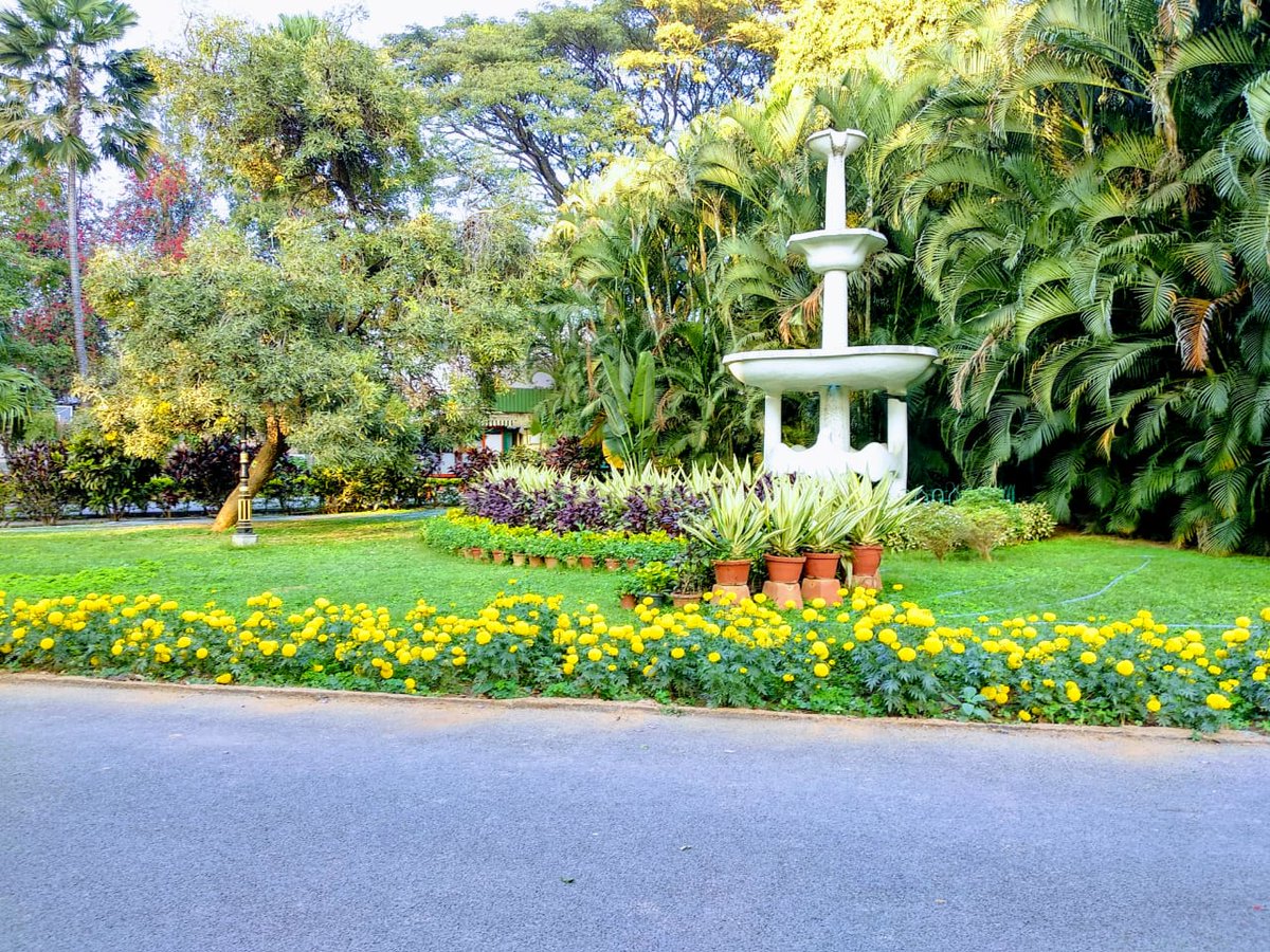 2k18Gateways's tweet photo. #gateways18

The beauty

@ChristBangalore #Christuniversity https://t.co/PYsIujqXSl