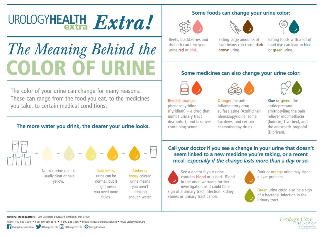 UrologyCareFdn's tweet photo. #ICYMI: Read our latest #CareBlog on “The Meaning Behind the Color of Urine” https://t.co/sBivhcCRMI https://t.co/TpaULM1qVA