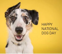 🐶 GIVE YOUR PUPPY A CUDDLE TODAY! 🐶