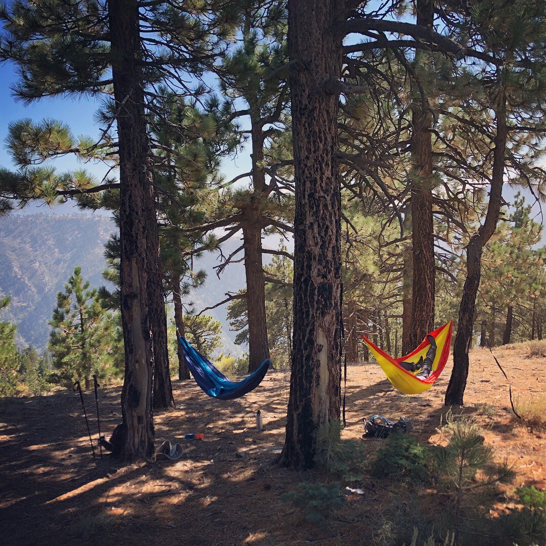 BeOutsideNow's tweet photo. #Hike73 - #BlueRidgeTrail in #Wrightwood for some #hammock relaxing after the first week of the school year. #52HikeChallenge #104HikeChallenge https://t.co/PYg541HEEi