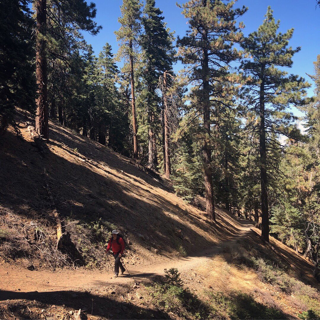 BeOutsideNow's tweet photo. #Hike73 - #BlueRidgeTrail in #Wrightwood for some #hammock relaxing after the first week of the school year. #52HikeChallenge #104HikeChallenge https://t.co/PYg541HEEi