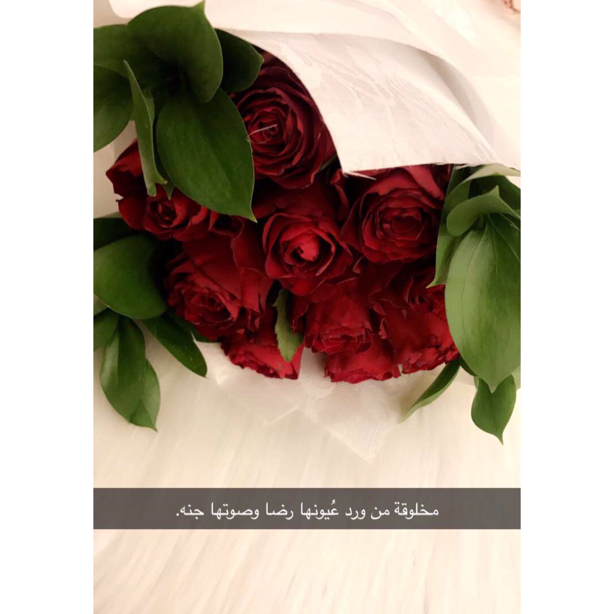 فـاء 💕 on X: جمال الورد 😭.. يأسرني اللون الاحمر حيل حيل حيل ، و انتو اي  لون تحبون ؟ t.coWaRM6YqYd8  X