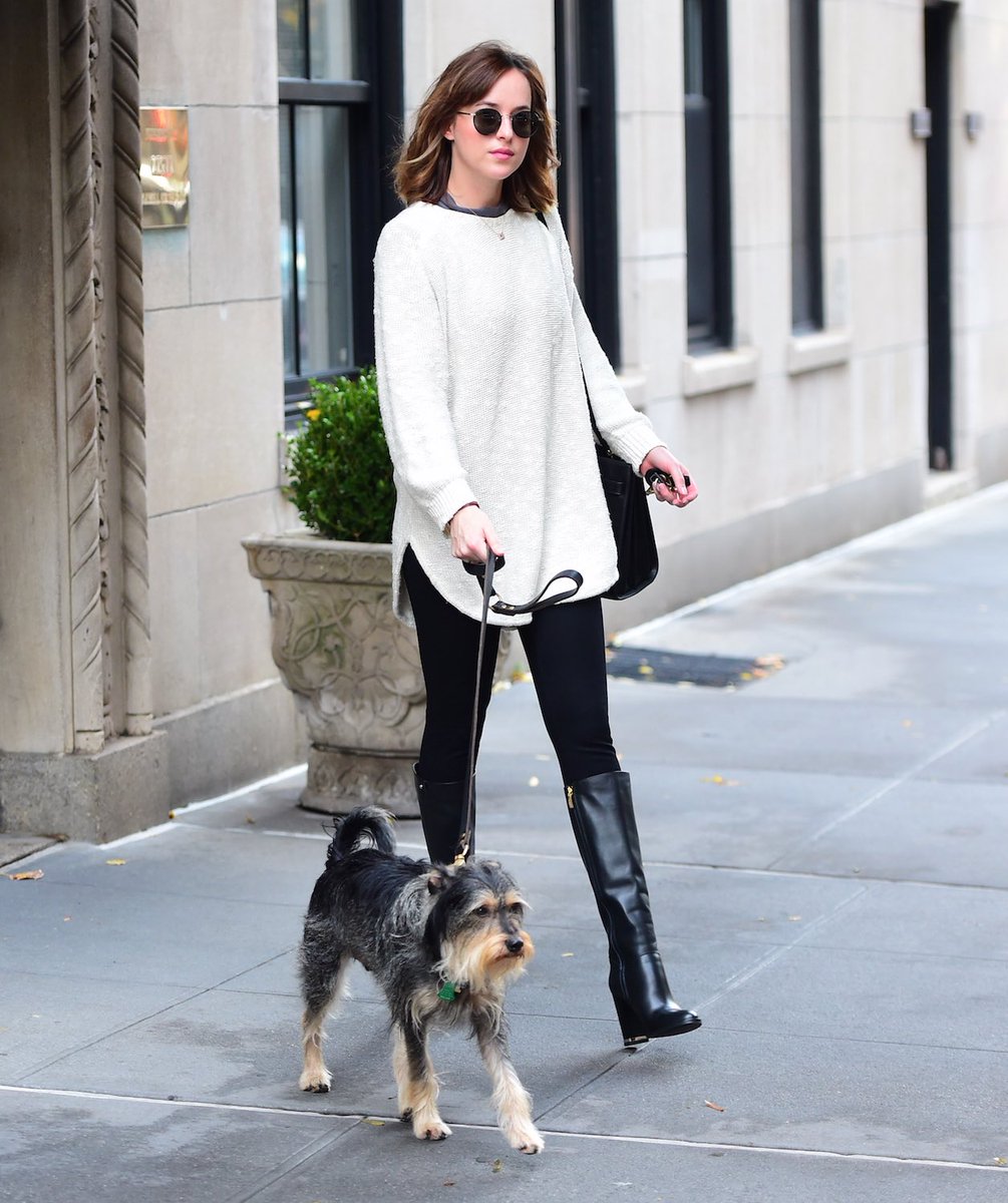 shineDakota's tweet photo. #dakotajohnson #InternationalDogDay https://t.co/t2TOP9XClJ