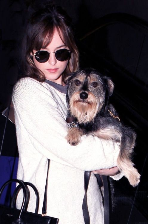 shineDakota's tweet photo. #dakotajohnson #InternationalDogDay https://t.co/t2TOP9XClJ
