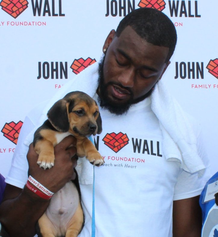 WashWizards's tweet image. #NationalDogDay 🐶🐶🐶