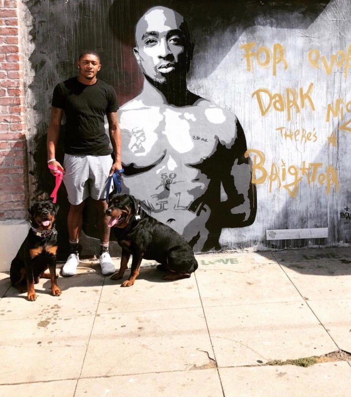 WashWizards's tweet image. #NationalDogDay 🐶🐶🐶