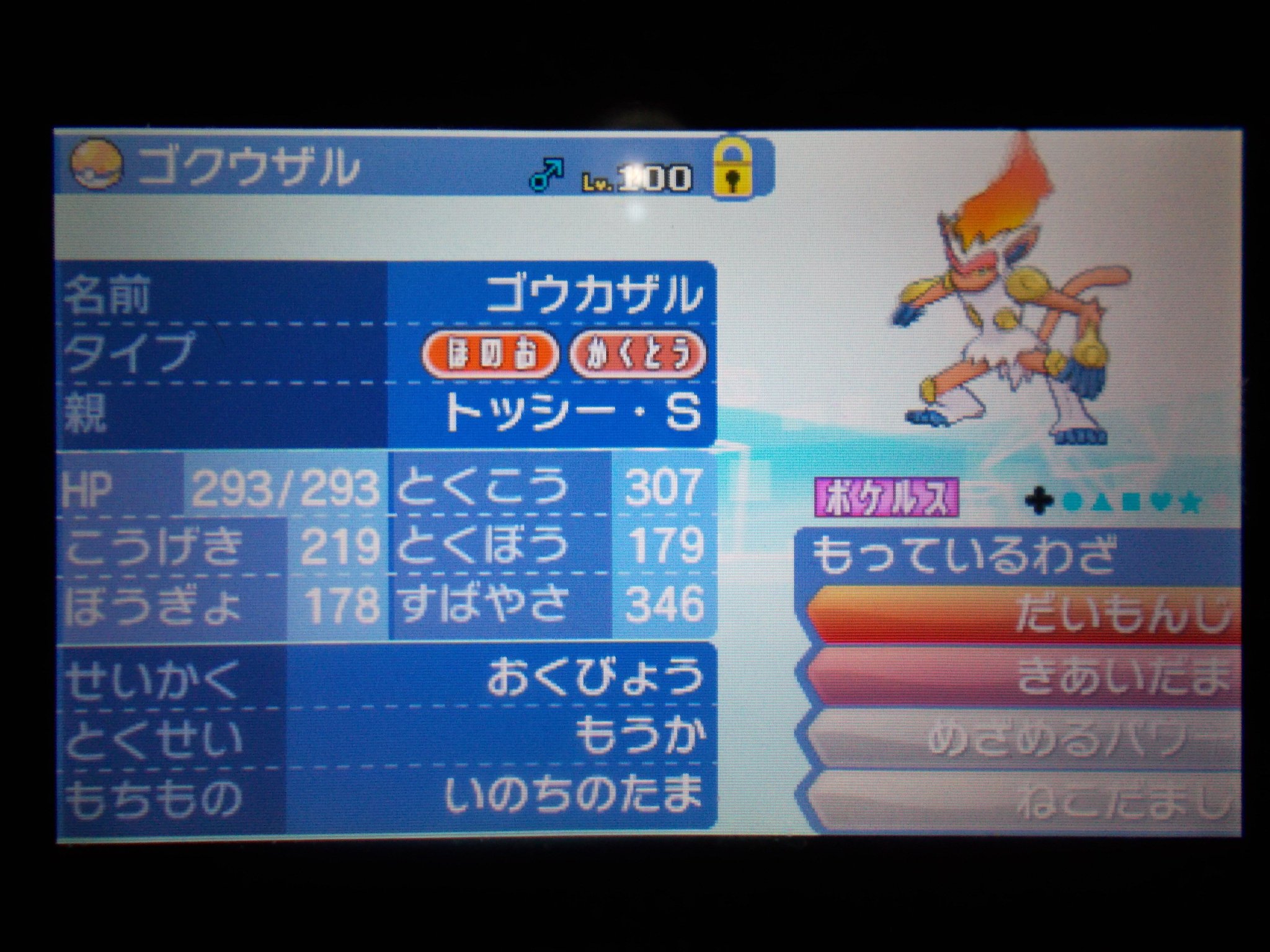 Twitter 上的 トッシー 日本に離れてから1年経ちました ゴクウザル ゴウカザル Csぶっぱ 珠最速特殊アタッカー めざパ氷 物理型の個体もいるが今回は特殊型で使用 めざ氷でガブリアスを倒す活躍を見せてくれた 大事な場面できあいだまを外すこともあった