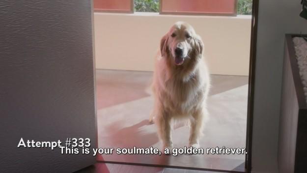 nbcthegoodplace's tweet photo. #NationalDogDay in #TheGoodPlace be like... https://t.co/lLhIGKRhW4