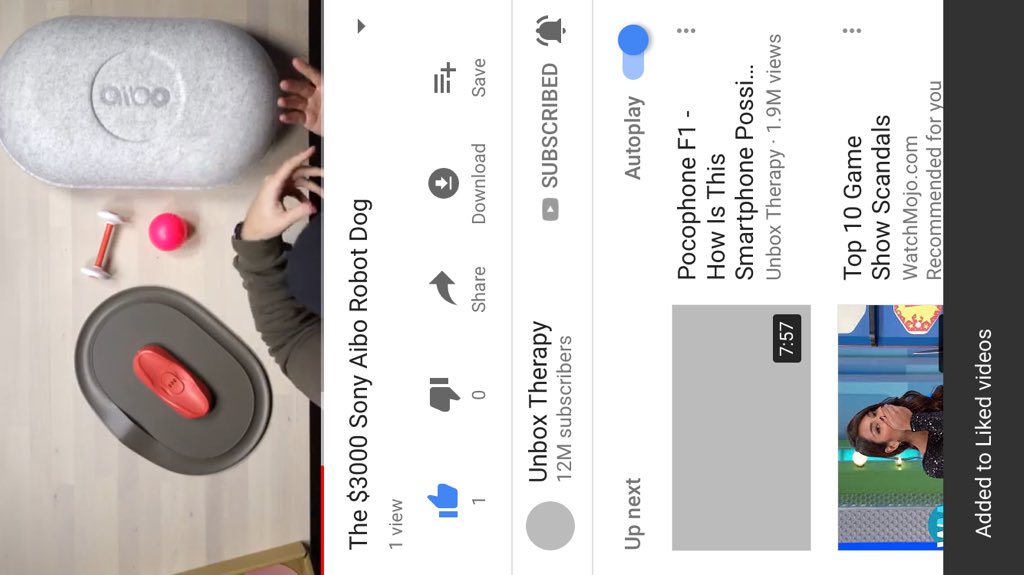 unbox therapy robot dog