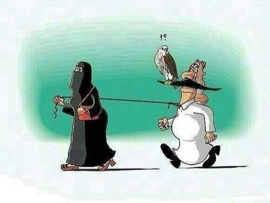 هاي مين صاحي وفاضي