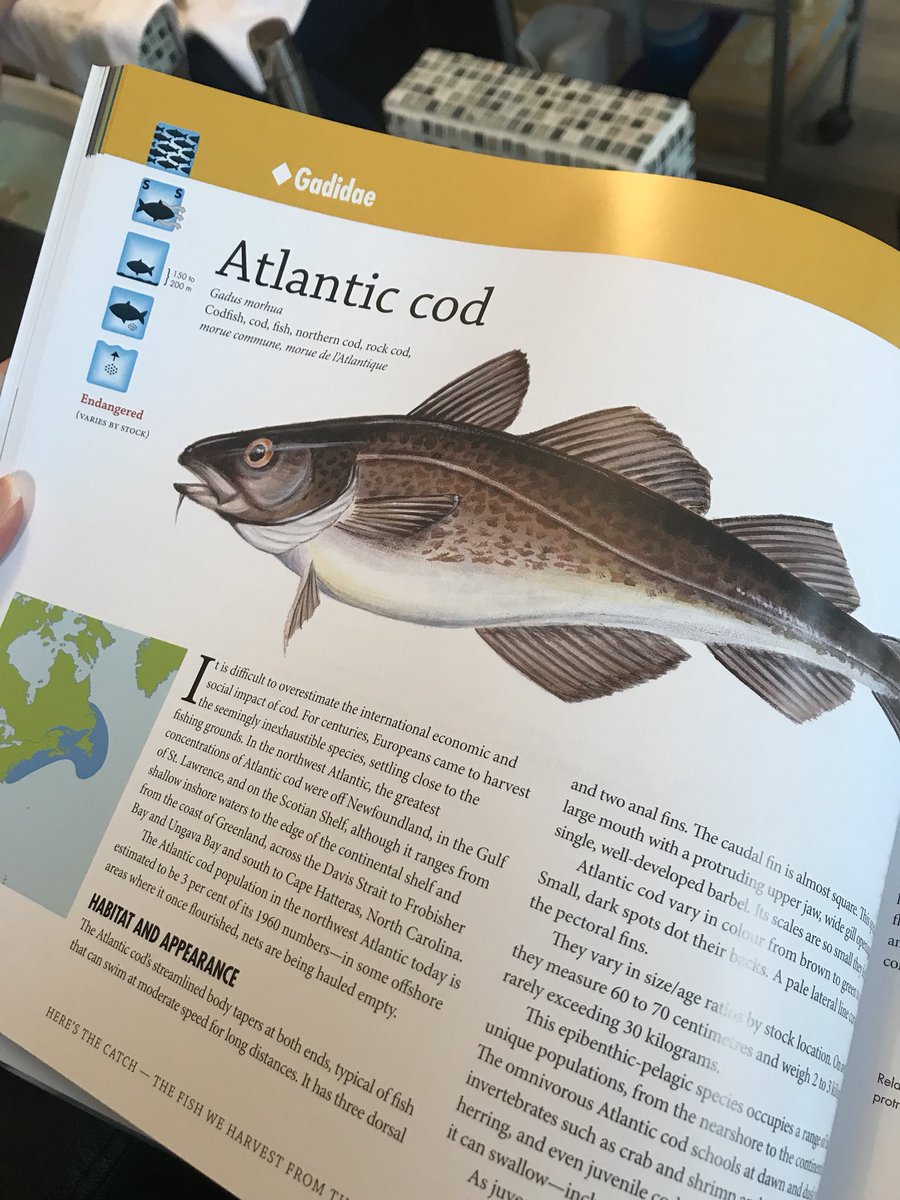 JenniferYVerma's tweet photo. Not your typical mani-pedi light reading material... The illustrations in this book are simply gorgeous. and what a resource. This book is by Wade Kearley, and the watercolour illustrations are by Derek Peddle. #fisheries #gonefishing #heresthecatch https://t.co/B06ldlWu0J