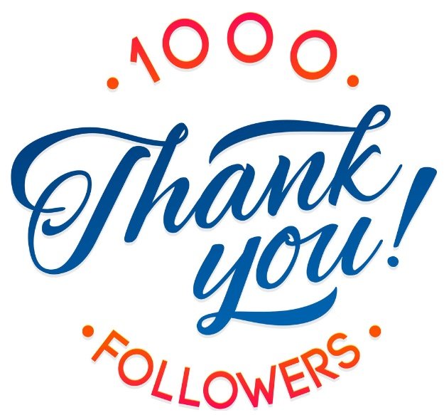 KneeDeep Tackle tweet media