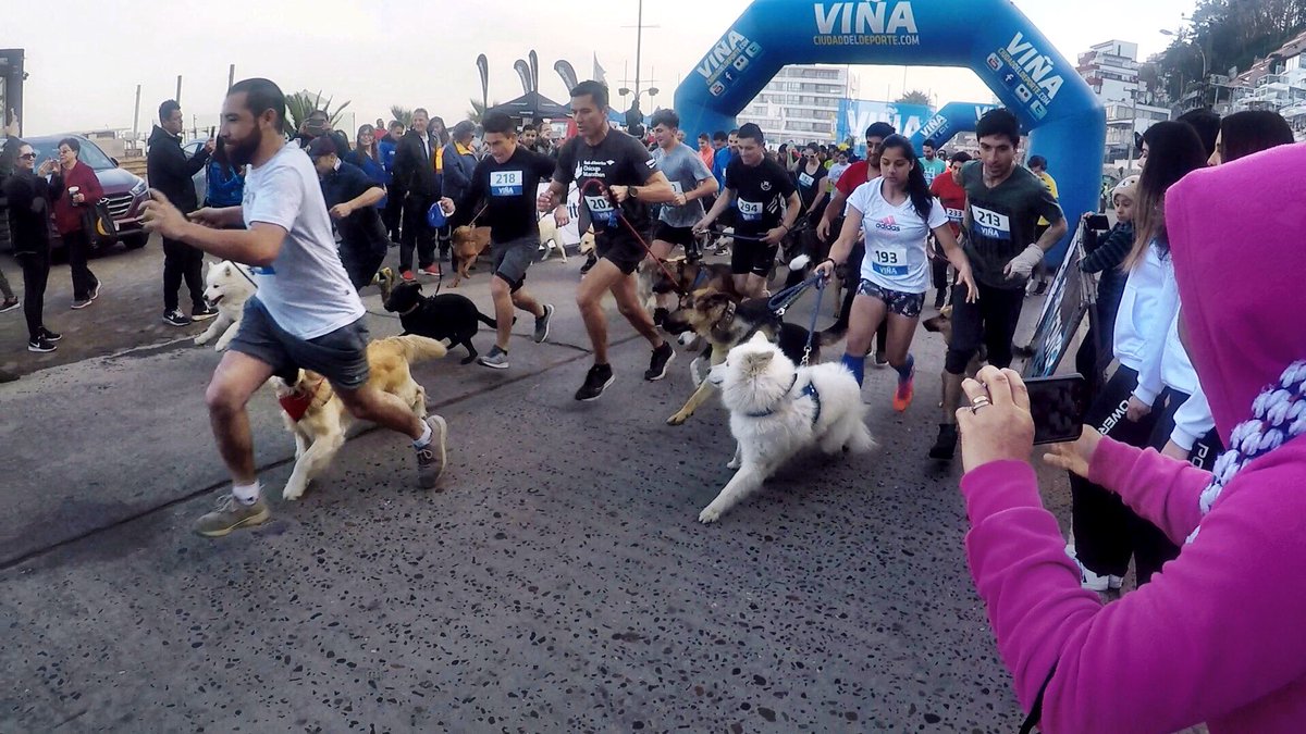 vinadelmar's tweet photo. Fotos de hoy Domingo #PERRORUNNING
Reñaca Viña del Mar Ciudad del deporte. #VIÑA #CHILE https://t.co/5m3d0yxo9f