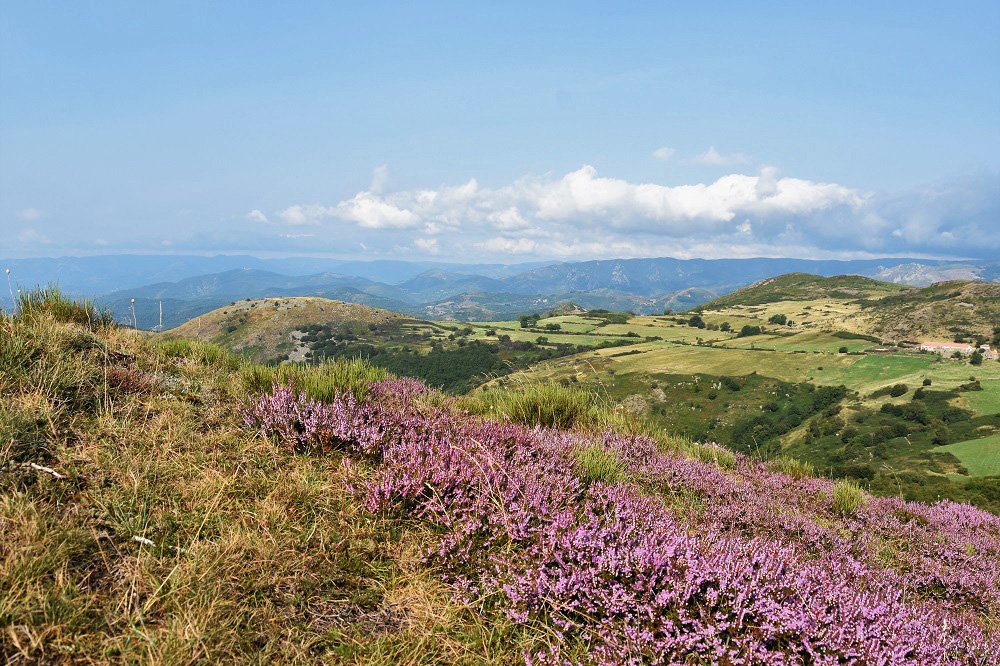 HeleneJoanin's tweet photo. Vues du serre de Suzon, au dessus du col de l'#Escrinet en #Ardeche. https://t.co/LQM9sYjniA