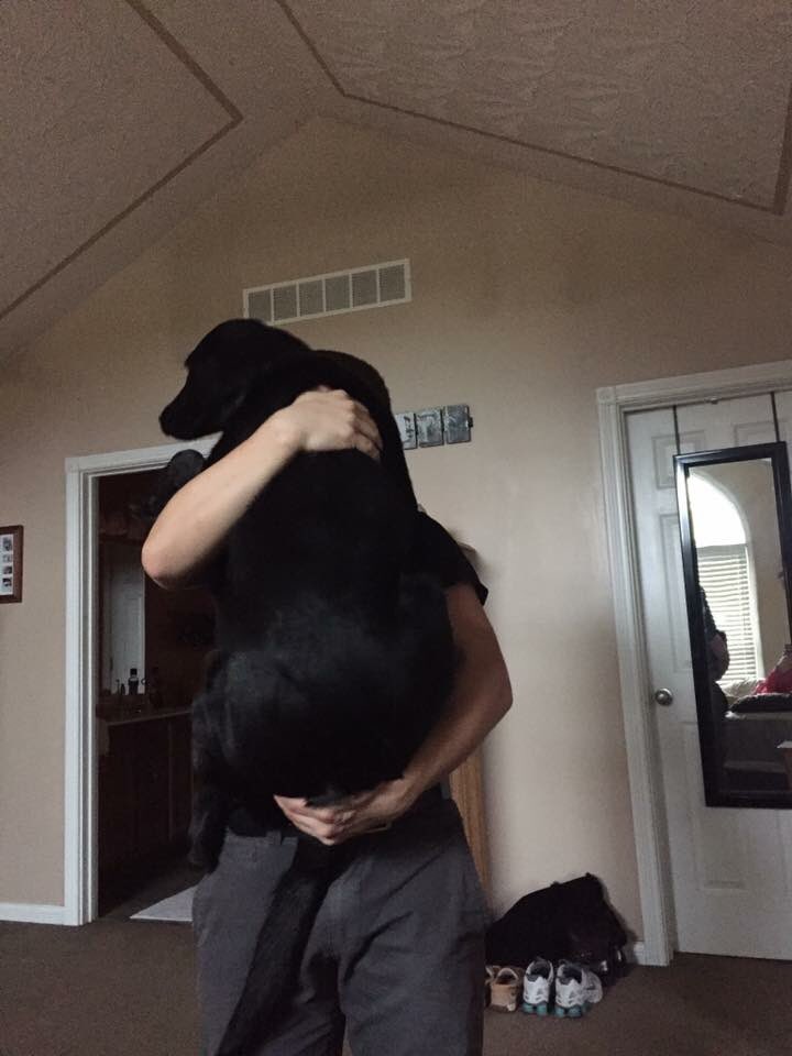 MissyAshley2's tweet photo. @KentuckyAFSP Happy national dog day Tucker Jax! We lost our son Austin 6/24/18. He loves his Tucker and would always pick him up like a baby,even though he’s an 80 lb lab😇 #austinsangels https://t.co/pC2J4oXa9y