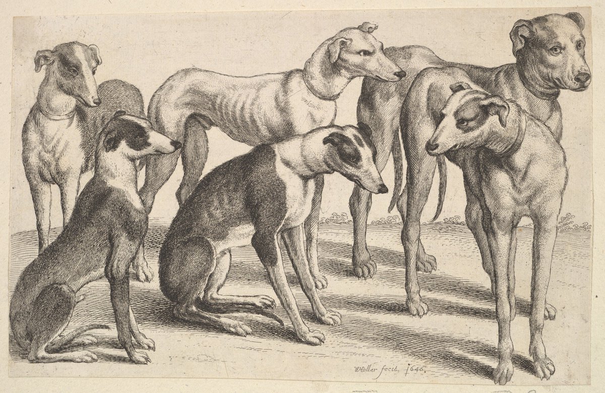 metmuseum's tweet photo. Happy #NationalDogDay! Meet dogs from The Met's collection on this @Pinterest board. https://t.co/MrP9omfotw https://t.co/q8DTUWaB1z