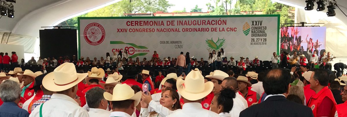 VicenteNoriega's tweet photo. Delegado efectivo en  XXIV Congreso Nacional Ordinario de la @CNC_CEN. #80AñosCNC @AdolfoToledo_ @LinoVelazquez @hernandezderas @CNC_Oax @CNCOaxaca_ https://t.co/eQAsIQ2OVX