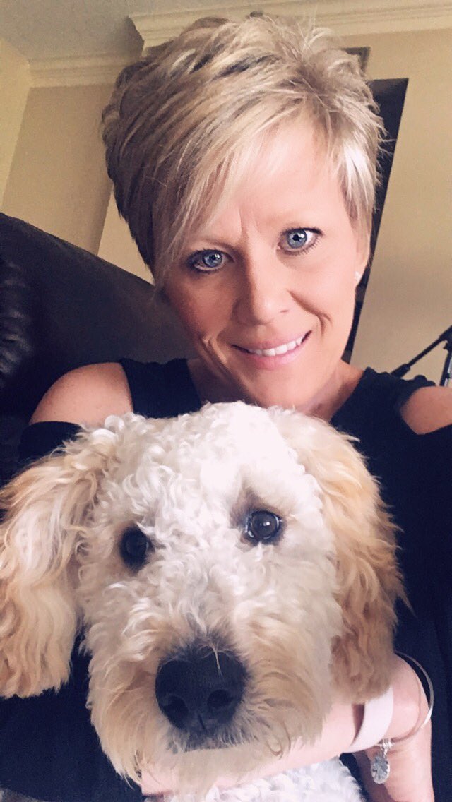Shellyhanson1's tweet photo. Happy National Dog Day Remi 💚 #Goldendoodle https://t.co/HaN7lNoLKQ