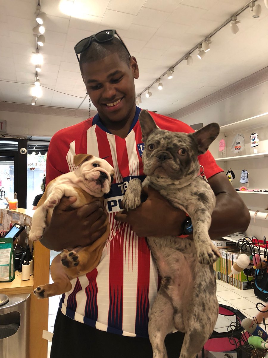 chicagobulls's tweet photo. Happy #NationalDogDay! 🐶😍 Tweet us a photo of your dog reppin’ the #Bulls and we’ll share some of them! https://t.co/HT3Bevp3Yp