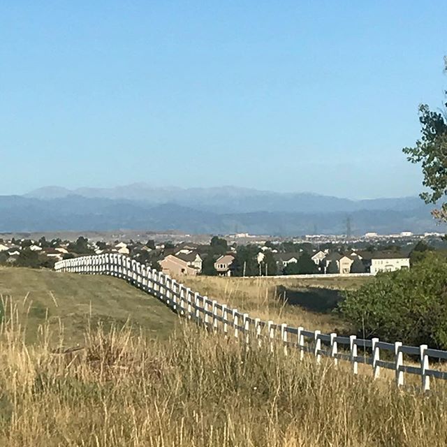 paulpetera's tweet photo. Wasn’t too long ago that I averaged 50 miles a week for a year. Today I got back to 50 for the first time since I was hurt in 2015. I’ve learned a lot in the process. #rnkrunning #shoplocal https://t.co/bFL5szRwUl https://t.co/iqy7U1qSig