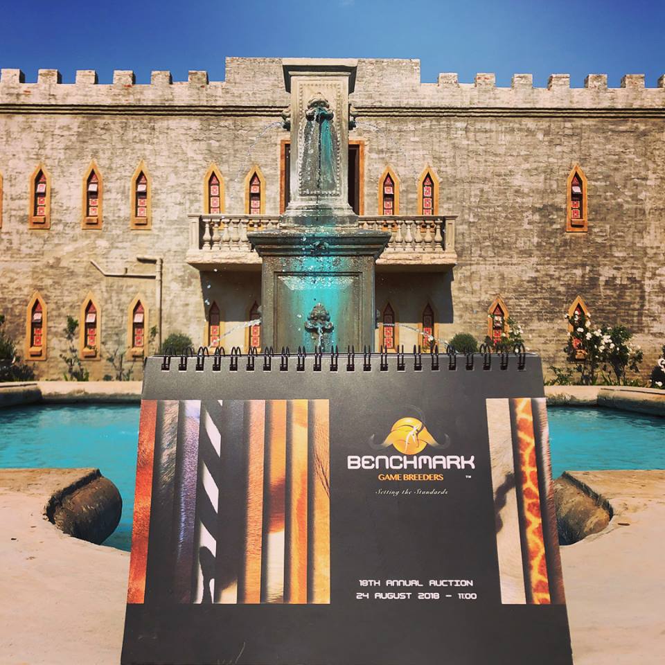 AFRILIVE's tweet image. The 2018 Benchmark Game Breeders Auction was brought to you by @Wildswinkel and was produced and Live Streamed by Afri Live Stream and Productions, proudly sponsored by Meadow Feeds #BenchmmarkGameBreeders @BenchmarkGameSA @bjvgamebreeders  @ChimoyoWildlife #janfouriemeintjeswild