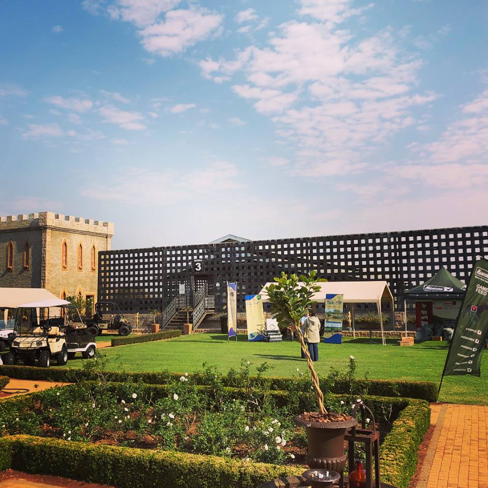 AFRILIVE's tweet image. The 2018 Benchmark Game Breeders Auction was brought to you by @Wildswinkel and was produced and Live Streamed by Afri Live Stream and Productions, proudly sponsored by Meadow Feeds #BenchmmarkGameBreeders @BenchmarkGameSA @bjvgamebreeders  @ChimoyoWildlife #janfouriemeintjeswild