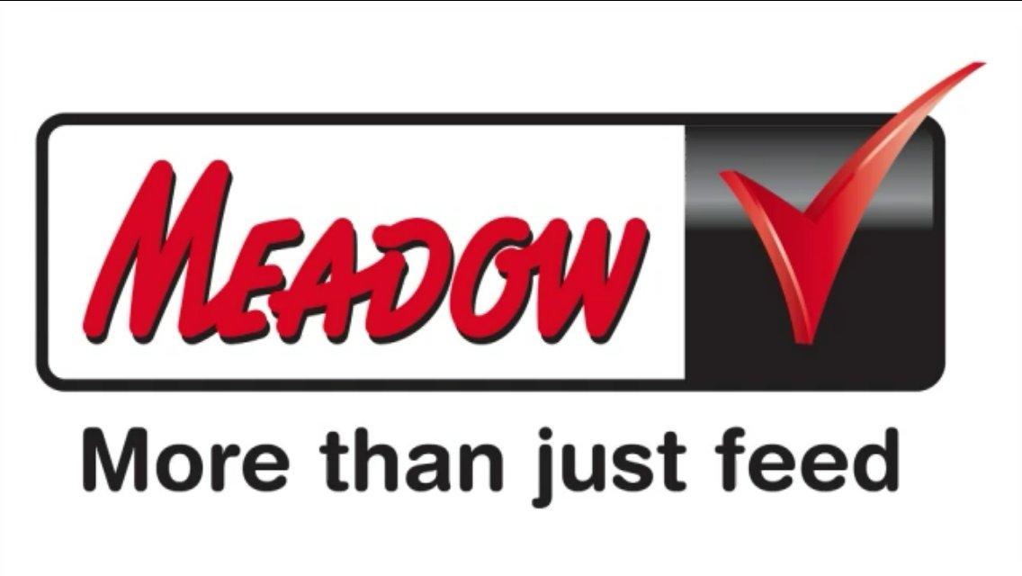 AFRILIVE's tweet image. The 2018 Benchmark Game Breeders Auction was brought to you by @Wildswinkel and was produced and Live Streamed by Afri Live Stream and Productions, proudly sponsored by Meadow Feeds #BenchmmarkGameBreeders @BenchmarkGameSA @bjvgamebreeders  @ChimoyoWildlife @VictorMatfield