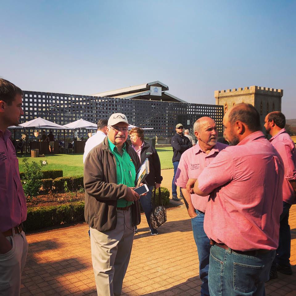 AFRILIVE's tweet image. The 2018 Benchmark Game Breeders Auction was brought to you by @Wildswinkel and was produced and Live Streamed by Afri Live Stream and Productions, proudly sponsored by Meadow Feeds #BenchmmarkGameBreeders @BenchmarkGameSA @bjvgamebreeders  @ChimoyoWildlife #janfouriemeintjeswild