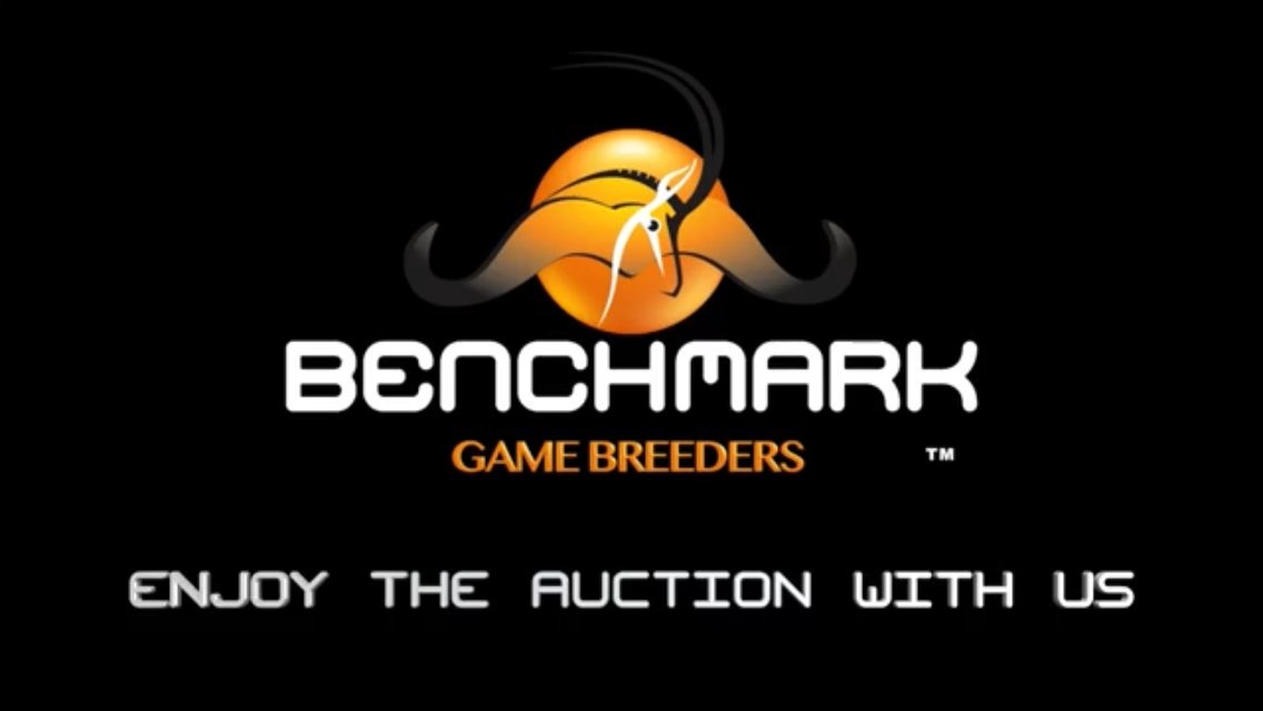 AFRILIVE's tweet image. The 2018 Benchmark Game Breeders Auction was brought to you by @Wildswinkel and was produced and Live Streamed by Afri Live Stream and Productions, proudly sponsored by Meadow Feeds #BenchmmarkGameBreeders @BenchmarkGameSA @bjvgamebreeders  @ChimoyoWildlife #janfouriemeintjeswild