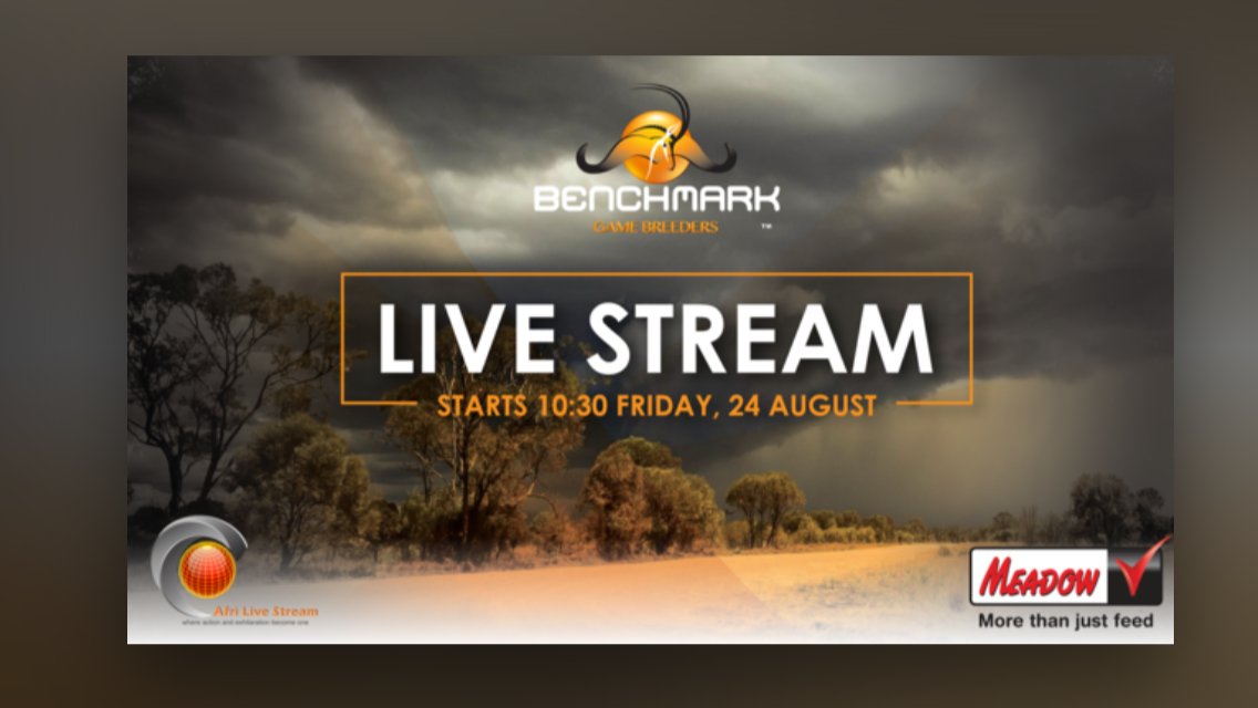 AFRILIVE's tweet image. The 2018 Benchmark Game Breeders Auction was brought to you by @Wildswinkel and was produced and Live Streamed by Afri Live Stream and Productions, proudly sponsored by Meadow Feeds #BenchmmarkGameBreeders @BenchmarkGameSA @bjvgamebreeders  @ChimoyoWildlife #janfouriemeintjeswild