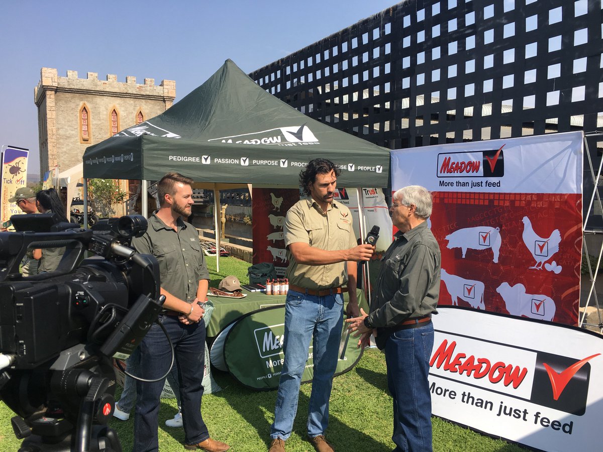 AFRILIVE's tweet image. The 2018 Benchmark Game Breeders Auction was brought to you by @Wildswinkel and was produced and Live Streamed by Afri Live Stream and Productions, proudly sponsored by Meadow Feeds #BenchmmarkGameBreeders @BenchmarkGameSA @bjvgamebreeders  @ChimoyoWildlife #janfouriemeintjeswild