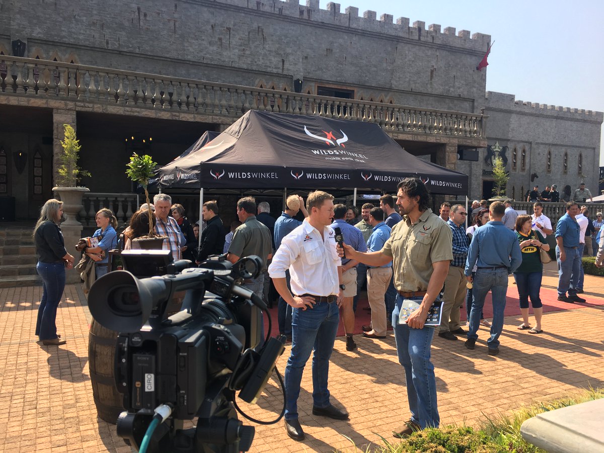 AFRILIVE's tweet image. The 2018 Benchmark Game Breeders Auction was brought to you by @Wildswinkel and was produced and Live Streamed by Afri Live Stream and Productions, proudly sponsored by Meadow Feeds #BenchmmarkGameBreeders @BenchmarkGameSA @bjvgamebreeders  @ChimoyoWildlife @VictorMatfield