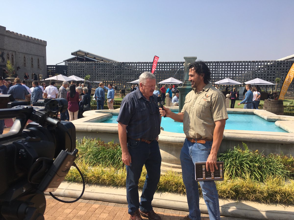 AFRILIVE's tweet image. The 2018 Benchmark Game Breeders Auction was brought to you by @Wildswinkel and was produced and Live Streamed by Afri Live Stream and Productions, proudly sponsored by Meadow Feeds #BenchmmarkGameBreeders @BenchmarkGameSA @bjvgamebreeders  @ChimoyoWildlife @VictorMatfield