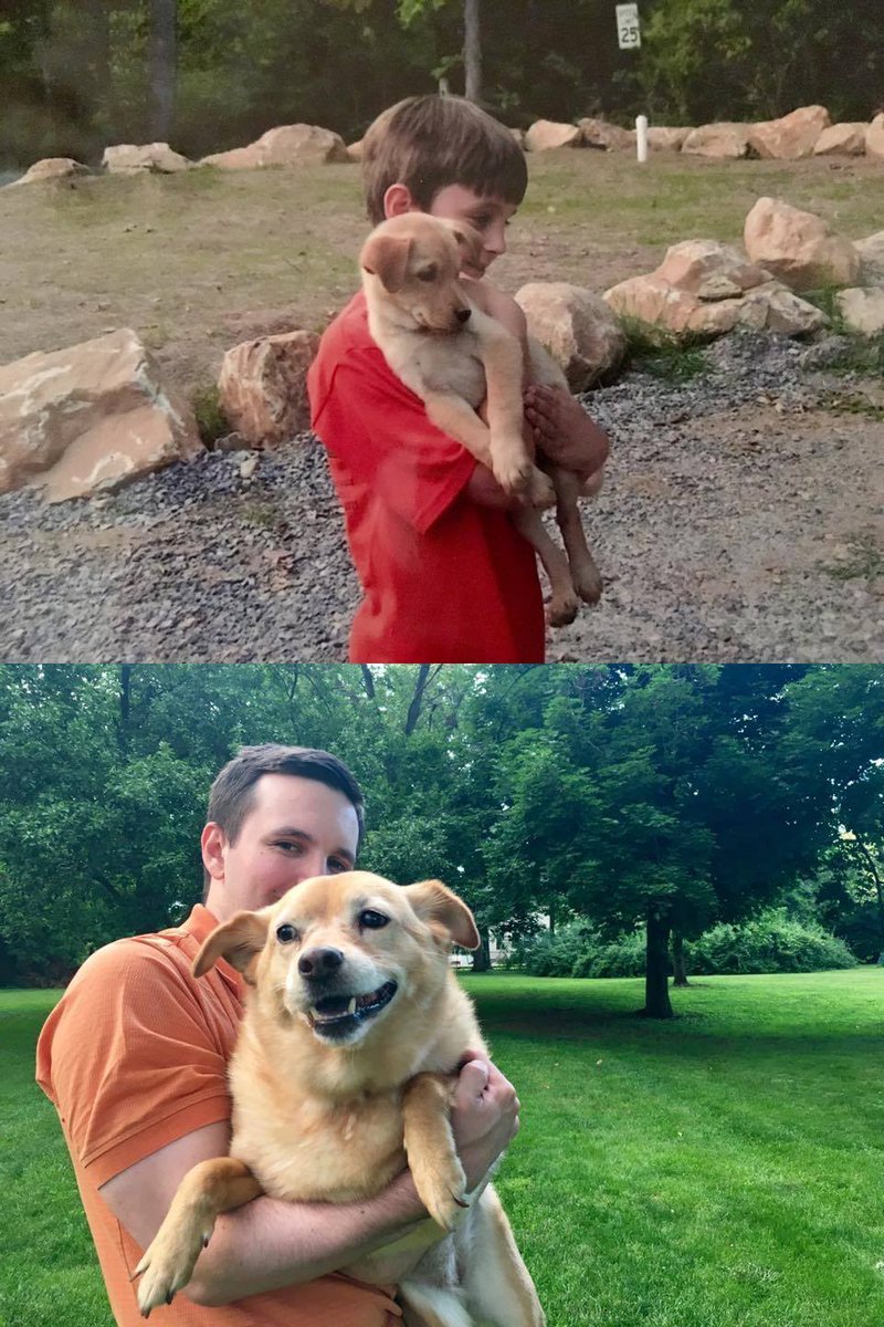 Happy National Dog Day! #MustLoveDogs