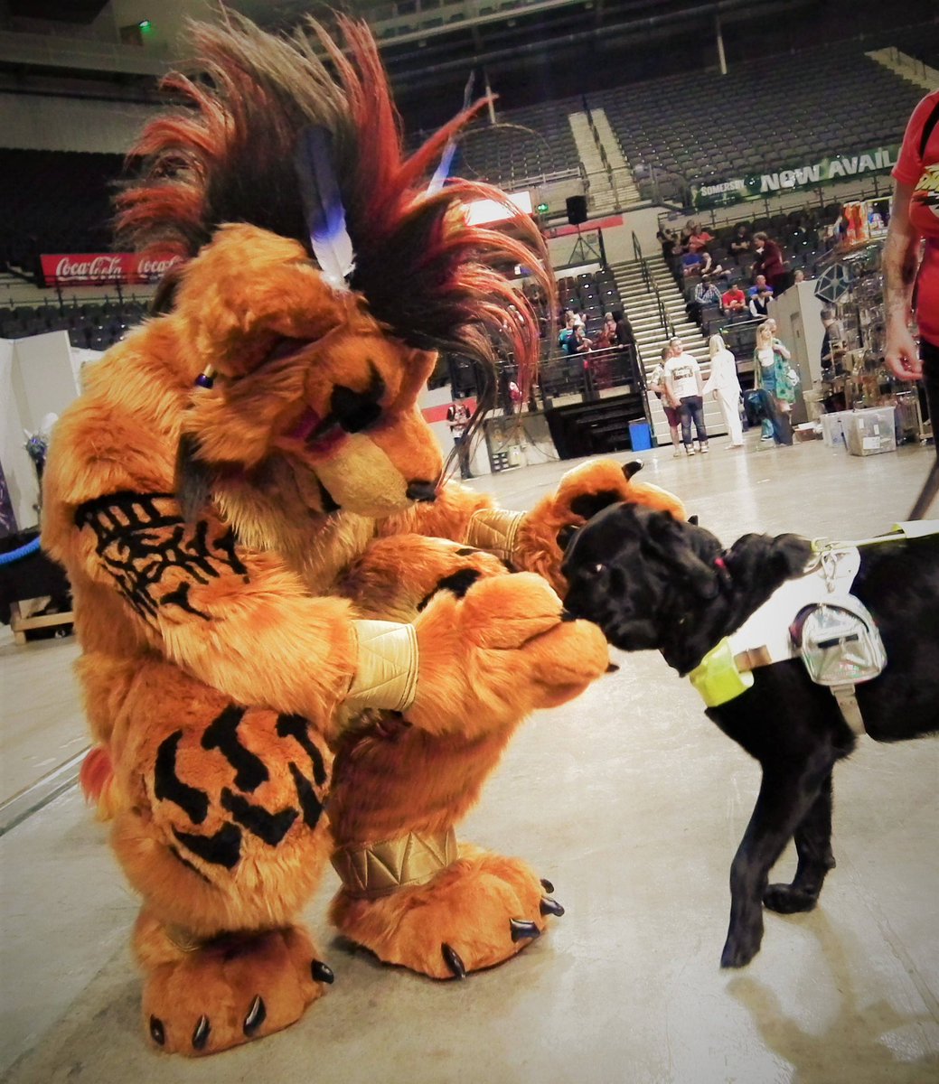 therealredxiii's tweet photo. It's #NationalDogDay and this good dog in training came to say hi during @Showmasters #SFCC so precious ❤ #guidedog 

#redxiii #nanaki #finalfantasy #finalfantasyvii  #squareenix #squareenixcosplay #cosplay #cosplayer #cosplayers #ffvii #ffviicosplay #ffviiremake https://t.co/f4GNzvHdVf