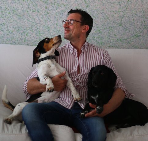 _WAHF's tweet photo. Who caught @DamianDibben on @BBCBreakfast this morning talking about his #wahf rescue dogs and his new book ‘Tomorrow’? Perfect read for #NationalDogsDay 🐶🎉 #AdoptDontShop #WildAtHeartFoundation https://t.co/0trsOFKYPj