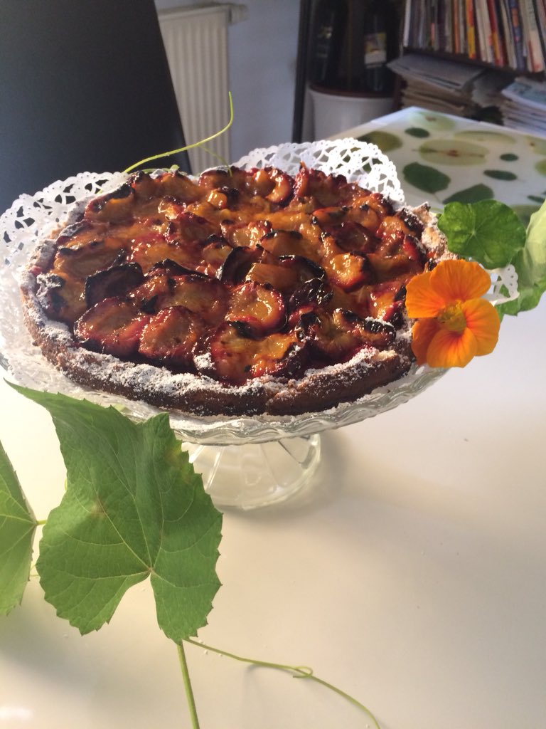 v_brandner's tweet photo. Schnell eine köstliche Zwetschken-Tarte gezaubert! Rezept von #PaulIvic/Tian. https://t.co/0otk4ri9ck