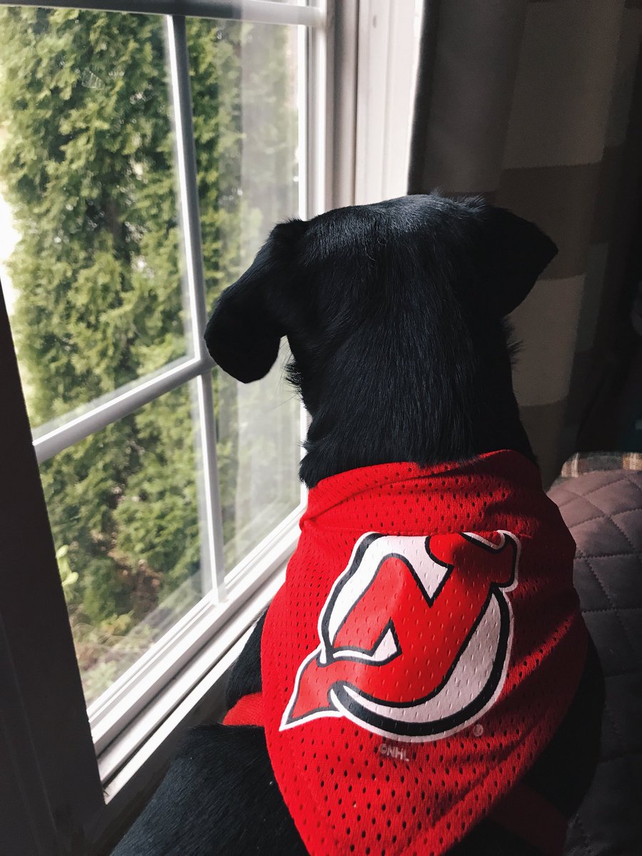 ITS NATIONAL DOG DAY This is Jasper Bratt <a href="/NJDevils/">New Jersey Devils</a>