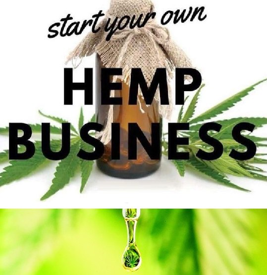 Tiny House Movement tweet media