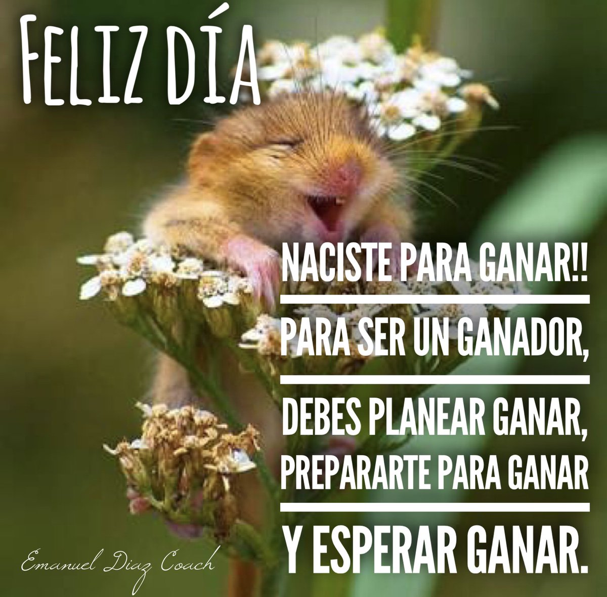 EMDIZE's tweet image. Hoy es un día para reír, disfrutemos de cada instante. Ponte una sonrisa y lúcela con orgullo y pasión. #pasion #amor #feliz #coach #coaching #ganador