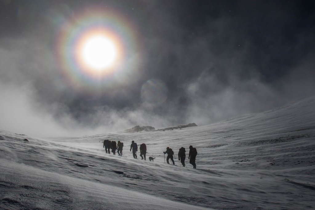 TypeTwoMedia's tweet image. A true sufferpup. He'd joined us setting off into the cold, dark night. I'm not even sure if anyone was aware of his presence before sunrise. Needless to say we were happy to have him with us. His quiet resilience meant none of us could complain. #Morocco #toubkal #mountains #dog